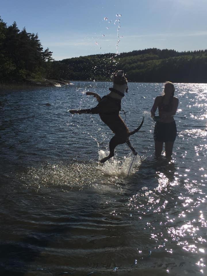 Stenlid - Med Naturen Och Lugnet I Fokus Veddige Quarto foto